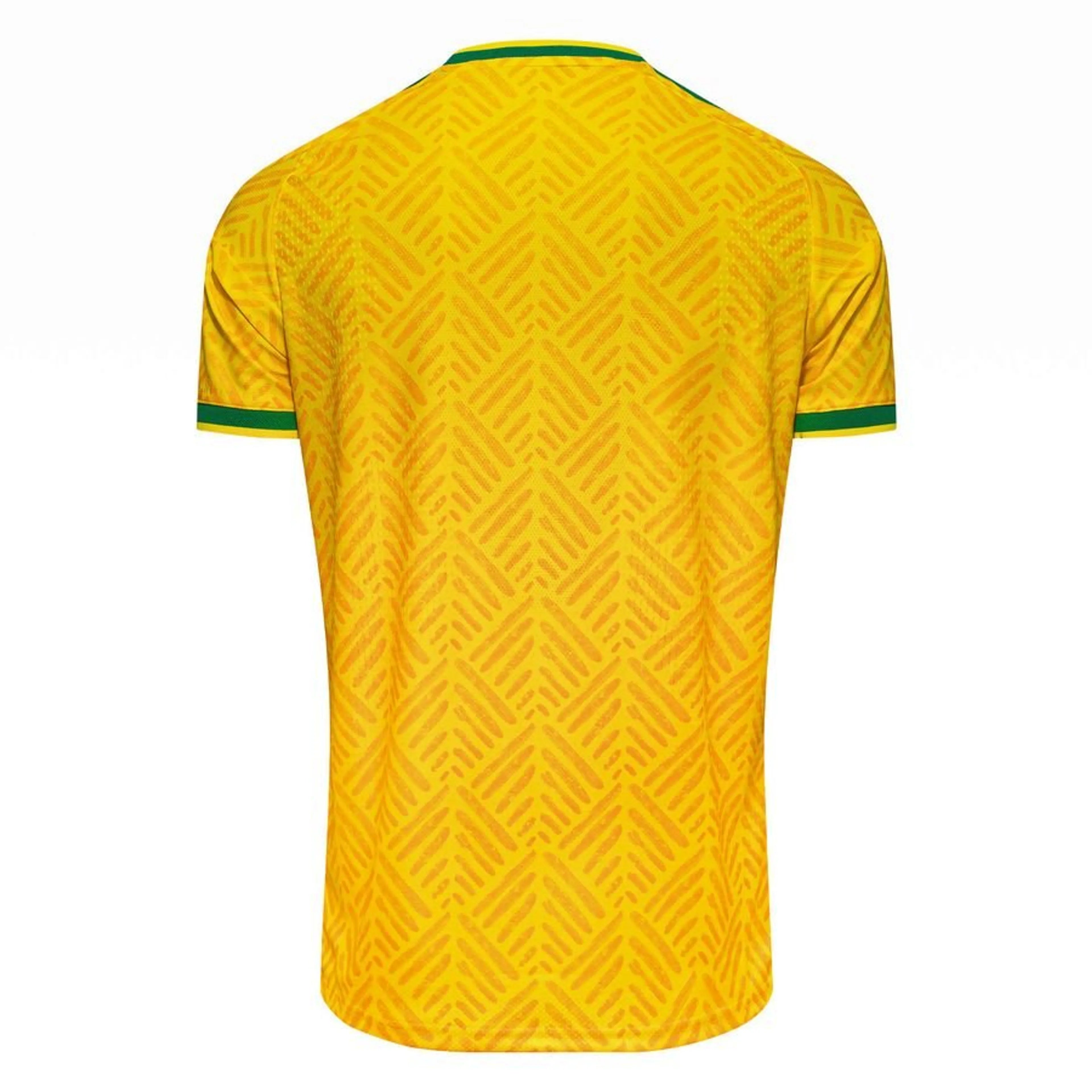 Equipación local de Sudáfrica 2026