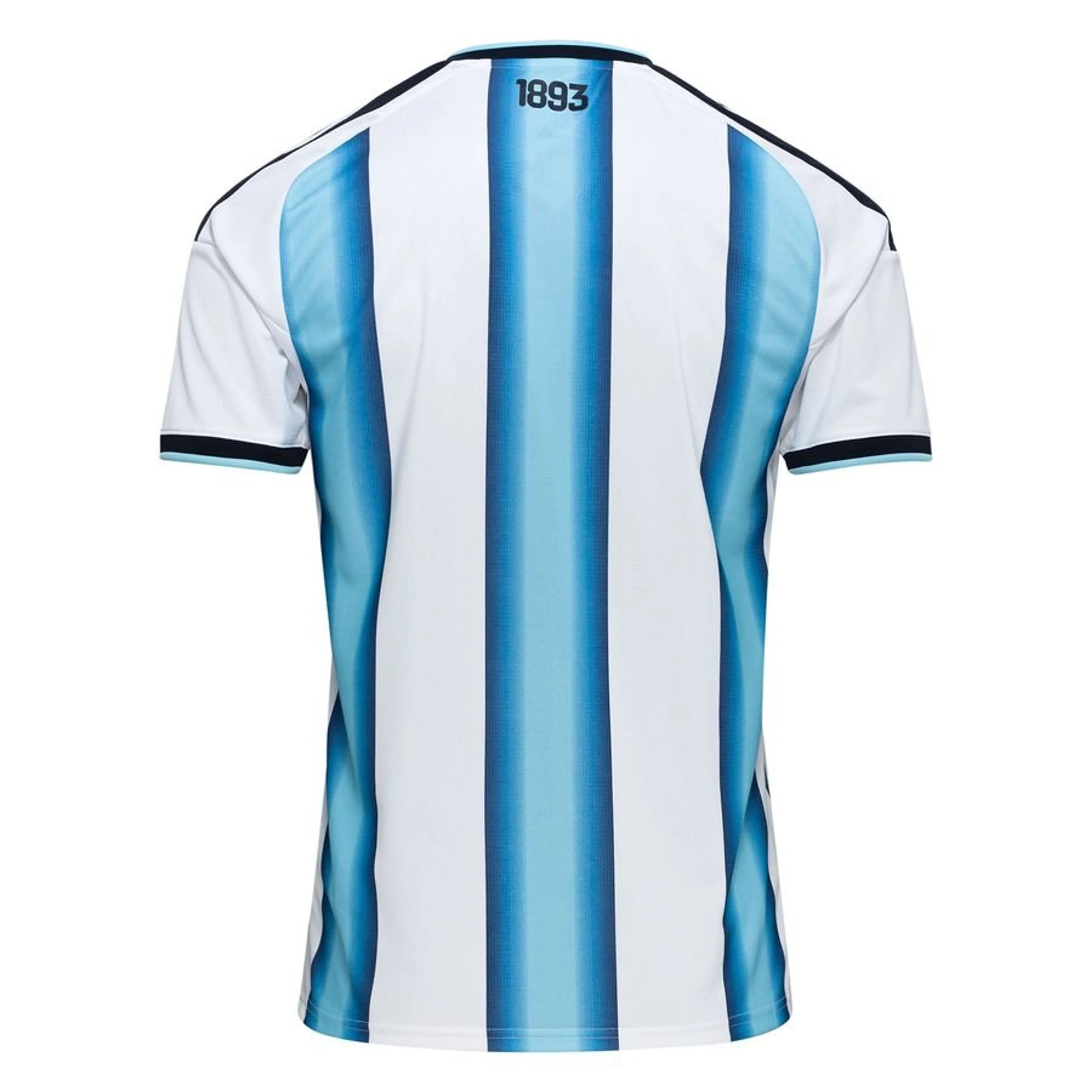 Argentina Local 2026