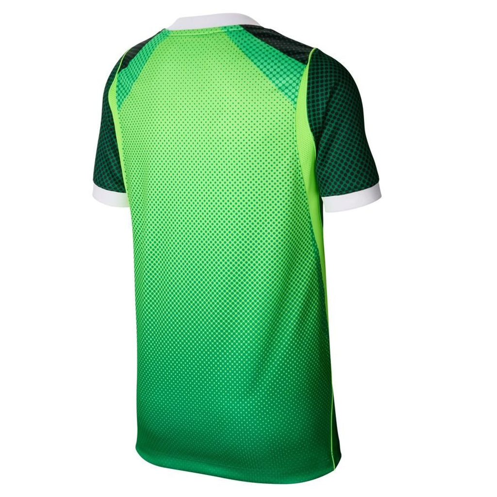 Equipación local de Nigeria 2026